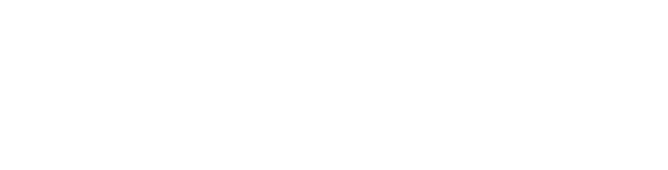 DE-PRIME Logo